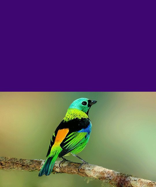 اصول و راز قوانین زندگی
