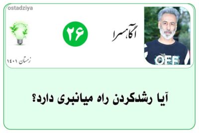 آیا رشد کردن راه میانبری دارد؟